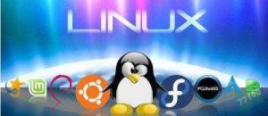 centos命令若干-美金梦