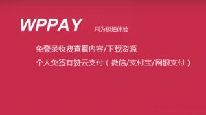 wppay 免登录 付费查看内容/付费下载资源 WordPress插件-美金梦
