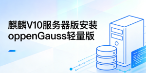 麒麟V10服务器版安装openGauss 6.0轻量版教程-美金梦