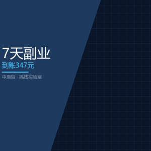 我用AI做了7天副业，到账了-美金梦